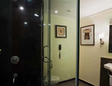 Deluxe Suite Bathroom