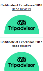 tripadvisor